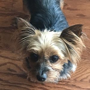 Meet your Posher, Deanne